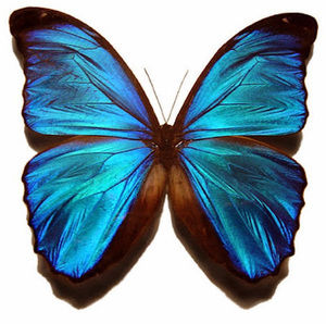 Meet your Posher, Eileen